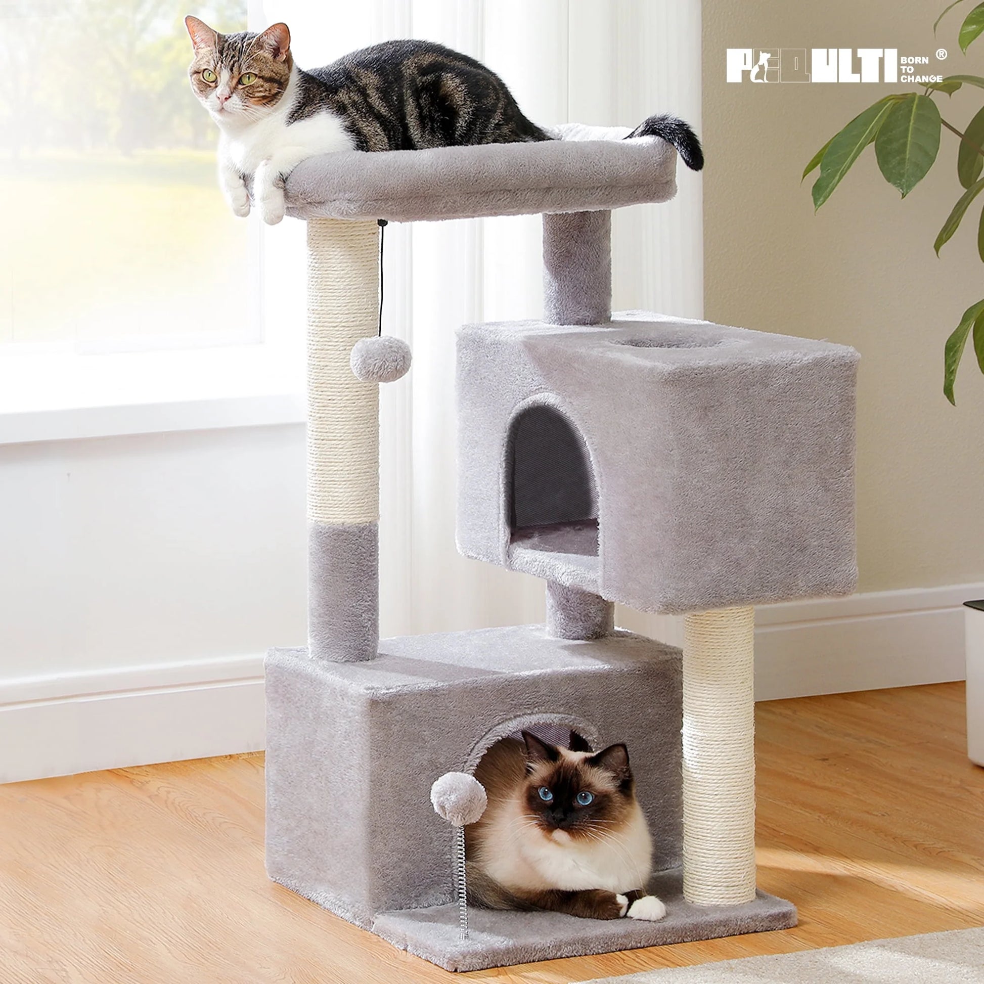 31.5" Modern Cat Tree Tower with Dual Large Condos for Kitten ＆ Medium Size Cat Dark Gray